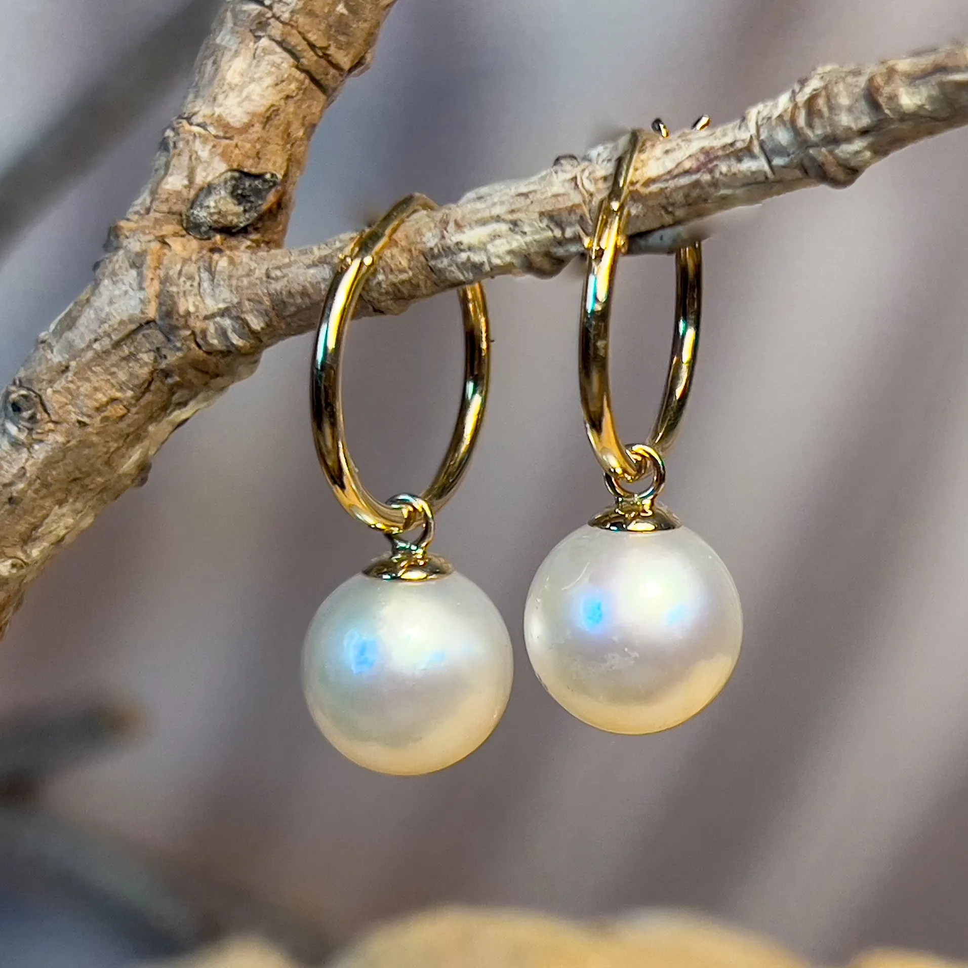 18kt Yellow Gold huggie earrings 9-9.5mm South Sea Pearls