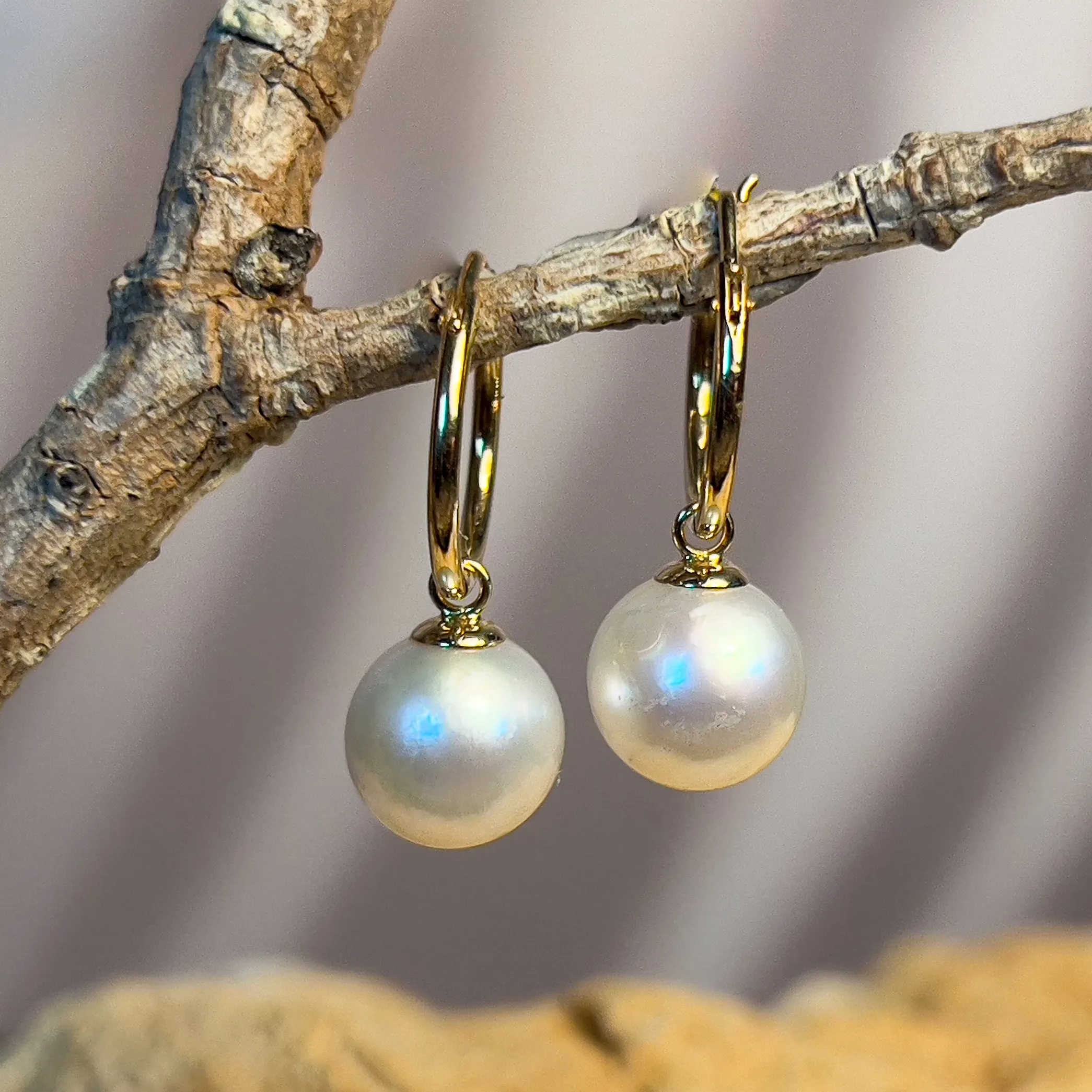 18kt Yellow Gold huggie earrings 9-9.5mm South Sea Pearls