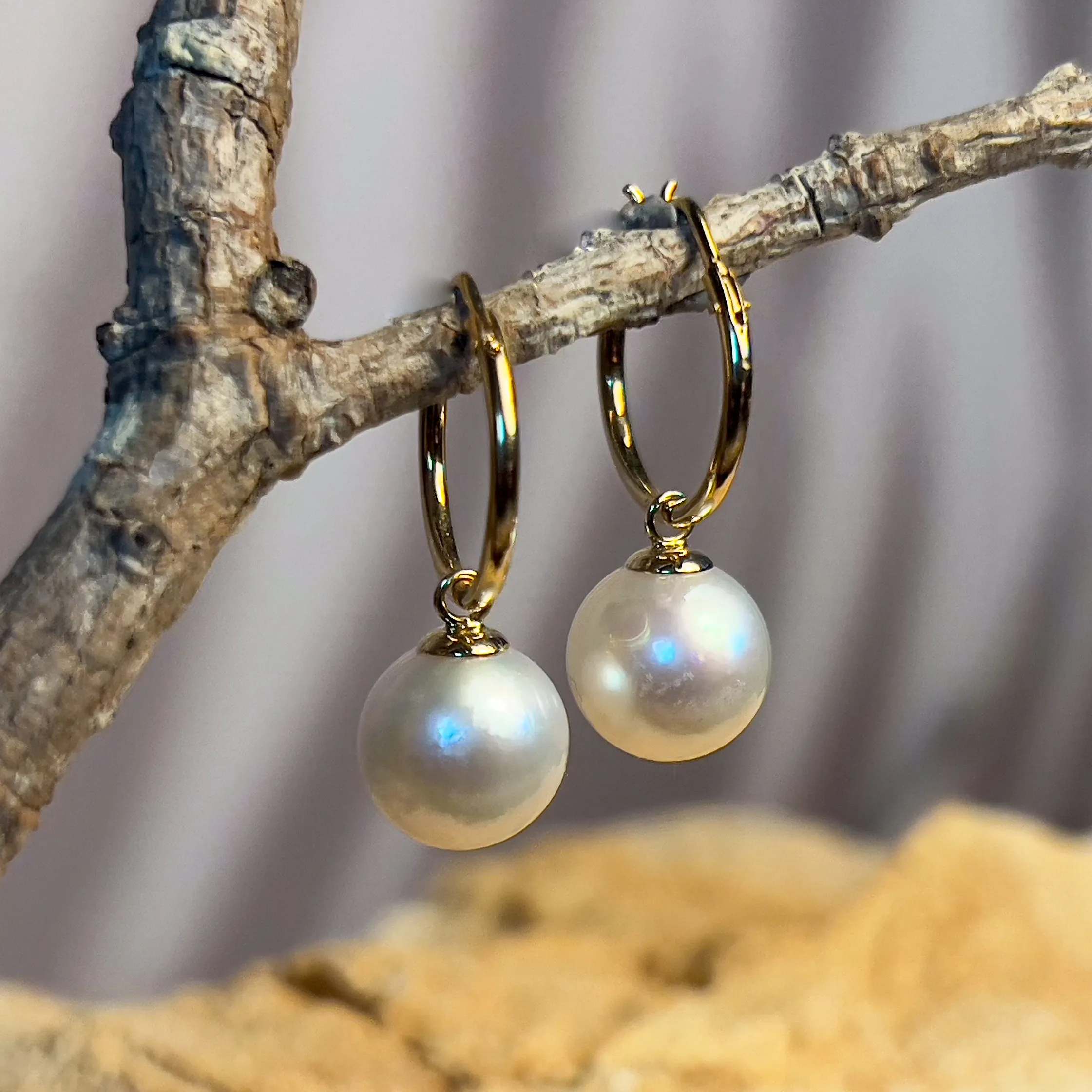 18kt Yellow Gold huggie earrings 9-9.5mm South Sea Pearls