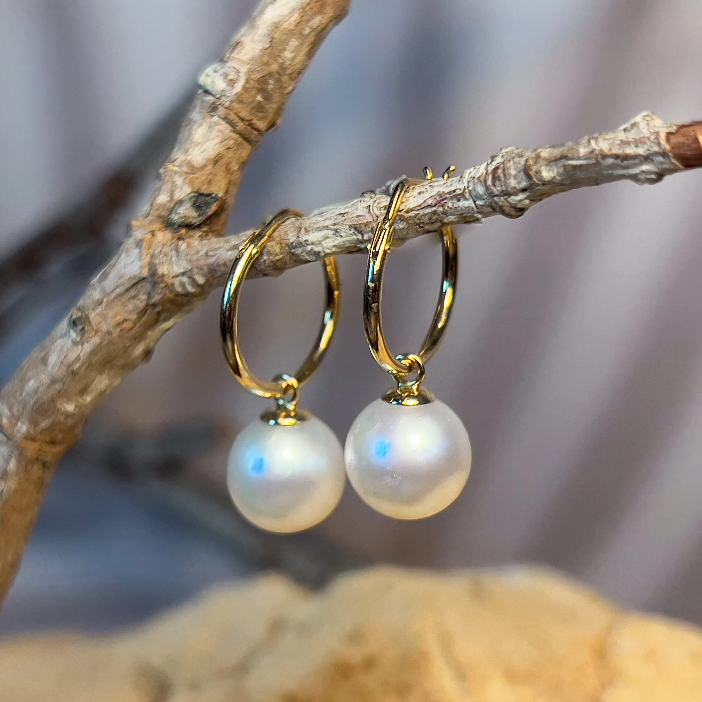 18kt Yellow Gold huggie earrings 9-9.5mm South Sea Pearls